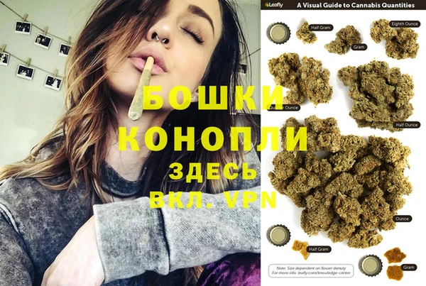 спайс Инта
