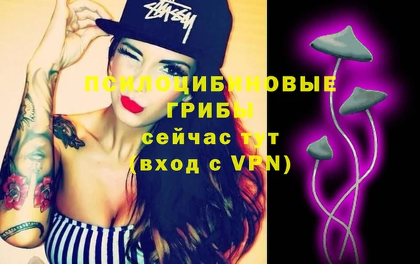 гидропоника Иннополис