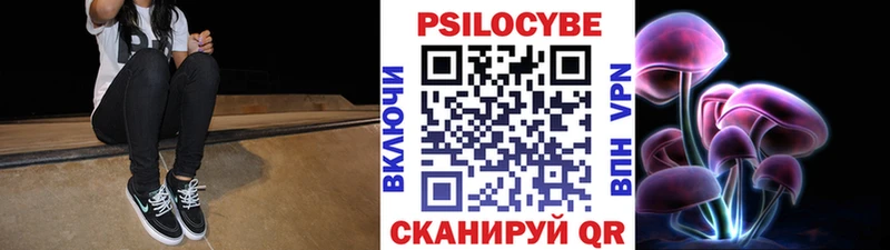 Купить где Берёзовка Галлюциногенные грибы Psilocybine cubensis